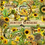 Country Sunshine Element 2 Set