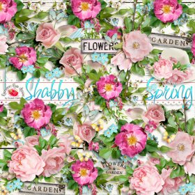 Shabby Spring Side Clusters