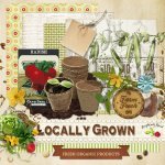 Locally Grown Add On Kit Locally Grown Add On Kit