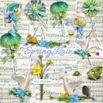 Spring Rain Side Clusters Spring Rain Side Clusters