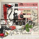 Life In Pictures Add On Kit Life In Pictures Add On Kit