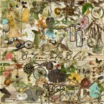 Botanical Bliss Elements