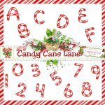 Cand Cane Lane Alphas