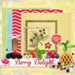 Berry Delight Add On Kit