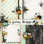 Goose Bumps Stacked Papers