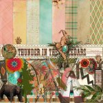 Thunder In The Cedars Add-on