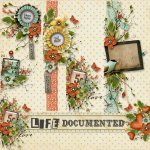 Life Documented Side Clusters
