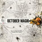 October Magic Cobwebs & Spider Set