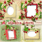 Wild Strawberries QP Set