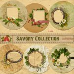 Savory CD Album