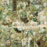 Feathered Nest Elements