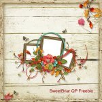 Sweet Briar QP