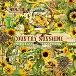 Country Sunshine Element 2 Set Country Sunshine Element 2 Set