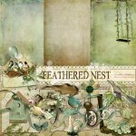 Feathered Nest Add-on