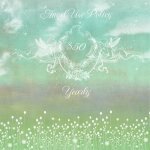 Angel Policy - Yearly