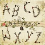Botanical Bliss Alpha Set