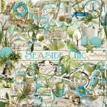 Seaside Chic Element Set