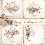 Always & Forever QP Set