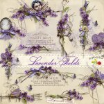 Lavender Fields Side Clusters