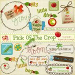Pick Of The Crop Word Art