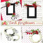 Fresh Raspberries EK QP Set