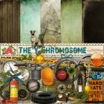 The Y Chromosome Add-on