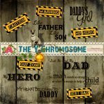 The Y Chromosome WordArt Set