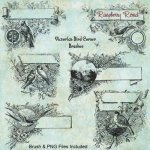 Victorian Bird Corner Brush Set