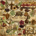 Autumn Thyme Elements