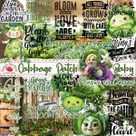 Cabbage Patch Baby Extras