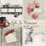 Life In Pictures EK QP Set