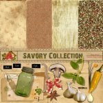 Savory Add On Kit