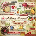 Autumn Harvest Paper Goods