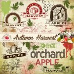 Autumn Harvest Stamp Set