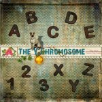 The Y Chromosome Alpha Set