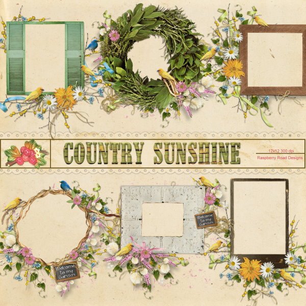 Country Sunshine