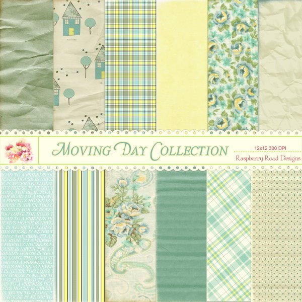 Moving Day Paper Pack