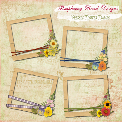 Pressed Flower Frames
