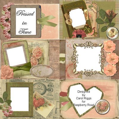 Pressed In Time Brag Book