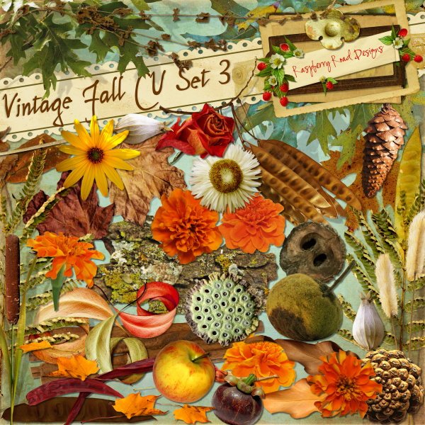 Vintage Fall CU Set3