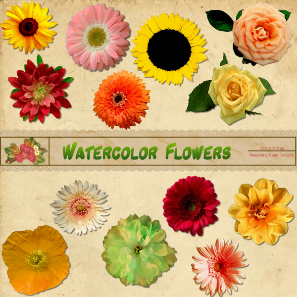 Watercolor Flowers